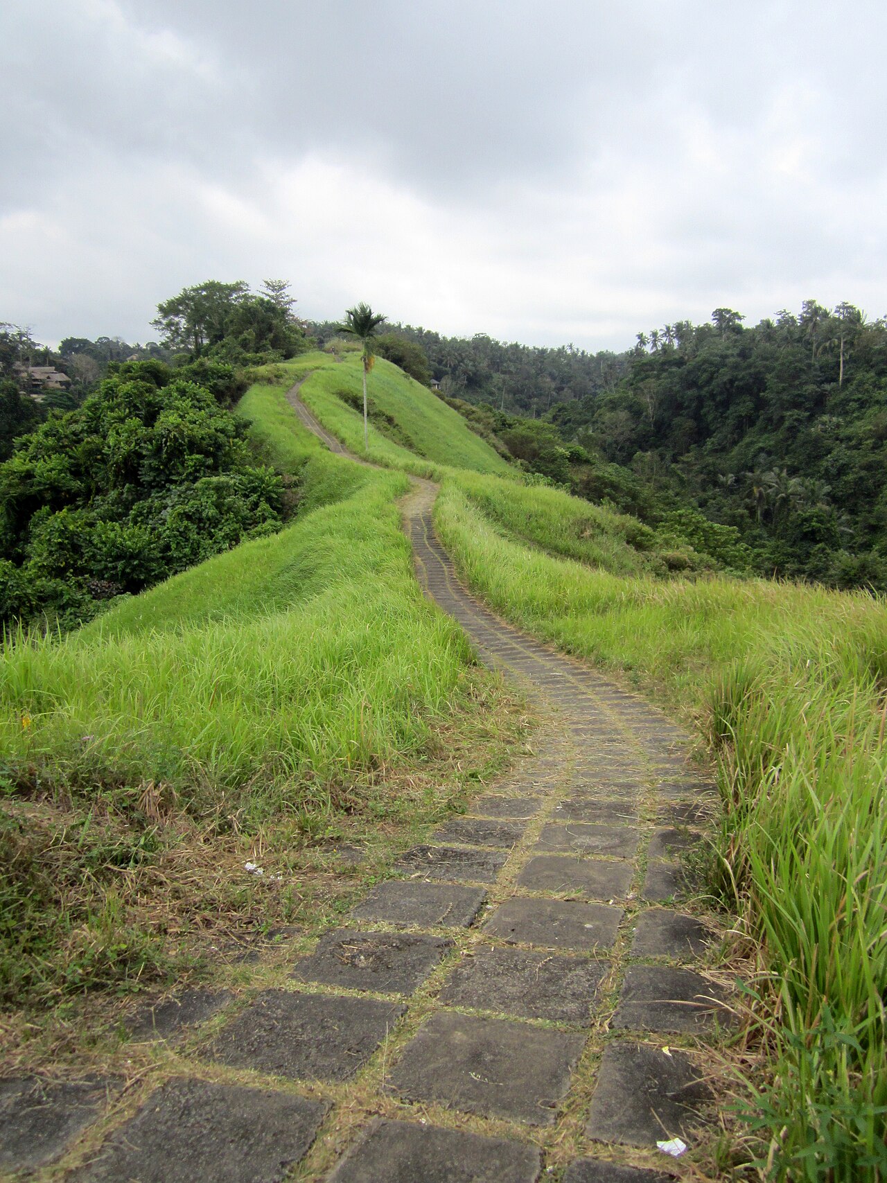 Campuhan ridge walk Ubud Bali 20120827c.jpg